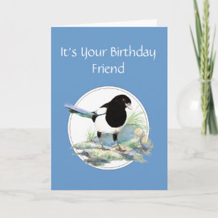 Funny, Friend Birthday, Magpie Waterverf Bird Kaart