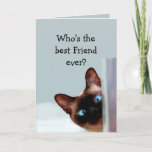 Funny Friend Birthday Wishes Siamese Cat Kaart<br><div class="desc">Funny Friend Birthday Wishes Siamese Cat Animal Humor you up.   Perfect for that Friend in your life with a sense of humor,  a love of cats</div>