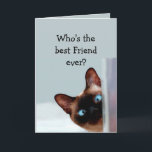 Funny Friend Birthday Wishes Siamese Cat Kaart<br><div class="desc">Funny Friend Birthday Wishes Siamese Cat Animal Humor you up.   Perfect for that Friend in your life with a sense of humor,  a love of cats</div>