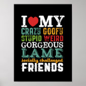 Funny Friendship Quote I Love My Crazy Friends Poster (Voorkant)