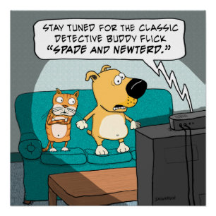 Funny Frighed Cat and Dog Poster