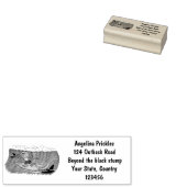 Funny frilly nek lizard surfende cartoon rubberstempel (Gestempeld)