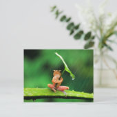 Funny Frog bang voor water Briefkaart (Staand voorkant)