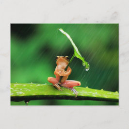 Funny Frog bang voor water Briefkaart