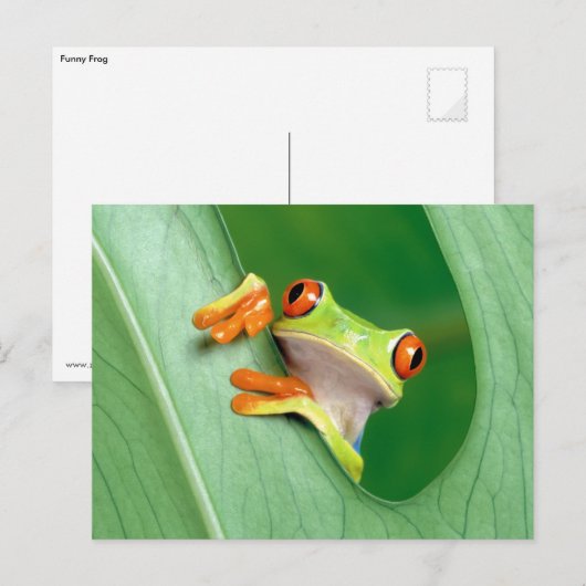 Funny Frog Briefkaart (Voorkant / Achterkant)