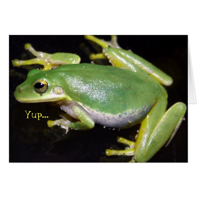 Funny Frog Card (Voorkant Horizontaal)