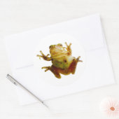 Funny Frog Froggie Toad 4Fred Ronde Sticker (Envelop)