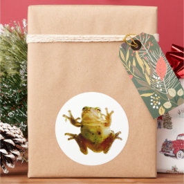 Funny Frog Froggie Toad 4Fred Ronde Sticker