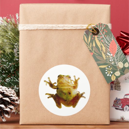 Funny Frog Froggie Toad 4Fred Ronde Sticker (Feestdagen)