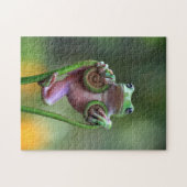 Funny Frog Legpuzzel (Horizontaal)