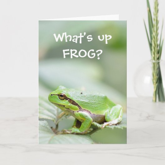 Funny frog wenskaart kaart (Voorkant)