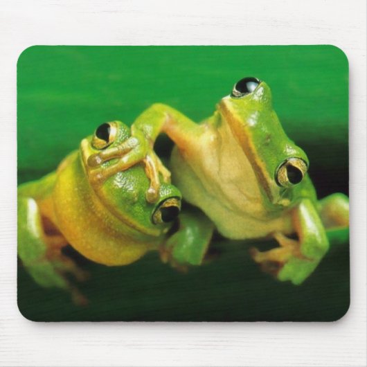 Funny Frogs Muismat (Voorkant)