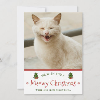 Funny from Cat Meowy-kerstfoto Feestdagenkaart