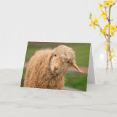 Funny Fuzzy Baby Goat Birthday Kaart (Gele Bloem)