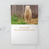 Funny Fuzzy Baby Goat krijgt goed Kaart (Binnen)