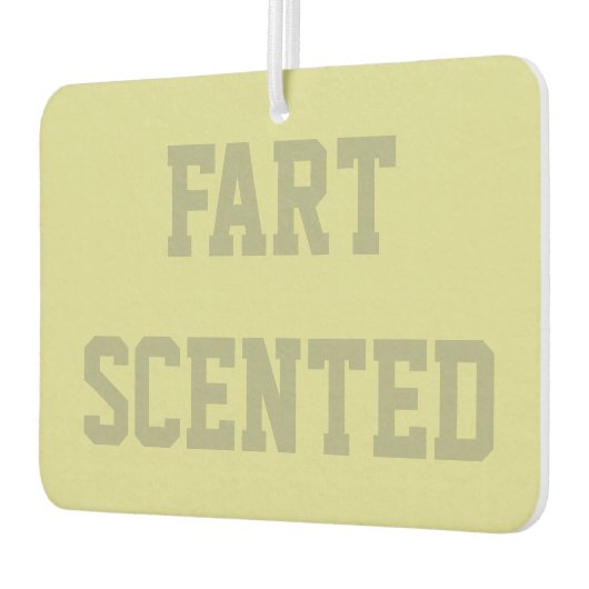 Funny Gag Gift Air Freshener Luchtverfrisser (Links)