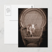 Funny geat briefkaart (Voorkant / Achterkant)