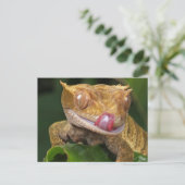 Funny GECKO die zijn lips-BRIEFKAART laat lopen Briefkaart (Staand voorkant)