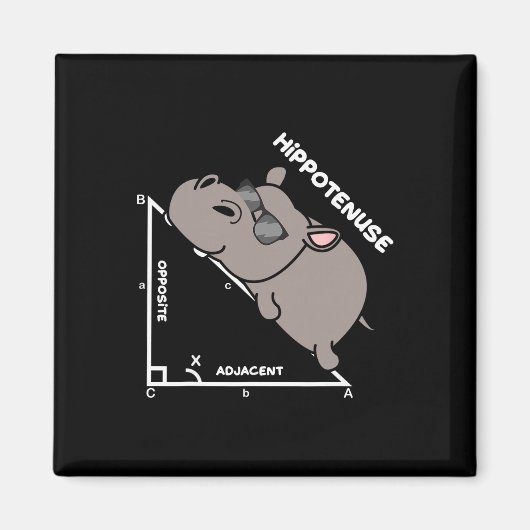 Funny Geometry Hypotenuse Math Mathematics Teacher Magneet (Voorkant)