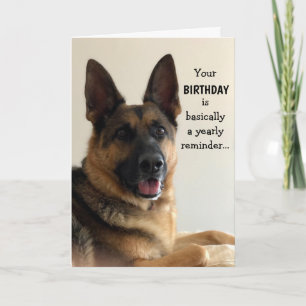 Funny German Shepherd Birthday Card Kaart