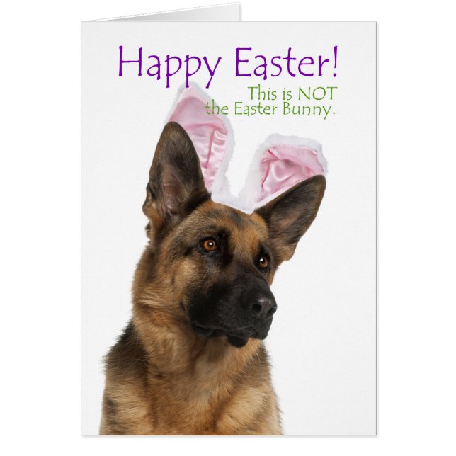 Funny German Shepherd Easter Kaart (Voorkant)