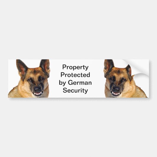Funny German Shepherd Foto Snarling Angry Bumpersticker (Voorkant)