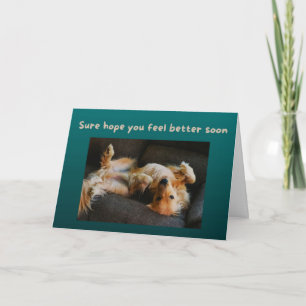 Funny Get Well Card Dog heeft z'n buik nodig Kaart