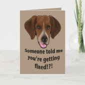 Funny Get well card for dogs Kaart (Voorkant)