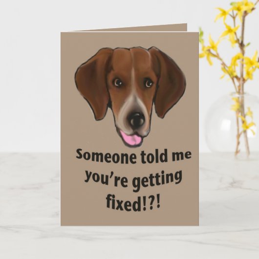 Funny Get well card for dogs Kaart (Gele Bloem)