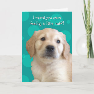 Funny Get Well Card Kaart