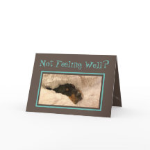 Funny Get Well Card W/Basset Hound Doctor