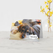 Funny Get Well to Sick Pet Kind Puppy or Hondenlie Kaart (Gele Bloem)