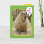 Funny Giant Cake-Eating Capybara Birthday Kaart<br><div class="desc">In het noorden van Zuid-Amerika is het Capybara de grootste knaagdiersoort ter wereld, gevolgd door de bever, de porcupine en de mara. Het dichtstbijzijnde familielid is het cavia, behalve dat deze knaagdieren in een gewicht van 77 tot 146 lbs wegen. Het is een roterende vat-vormig lichaam maakt het eruit alsof...</div>