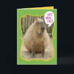 Funny Giant Cake-Eating Guinea Pig Birthday Kaart<br><div class="desc">In het noorden van Zuid-Amerika is het Capybara de grootste knaagdiersoort ter wereld, gevolgd door de bever, de porcupine en de mara. Het dichtstbijzijnde familielid is het cavia, behalve dat deze knaagdieren in een gewicht van 77 tot 146 lbs wegen. Het is een roterende vat-vormig lichaam maakt het eruit alsof...</div>