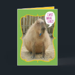 Funny Giant Cake-Eating Guinea Pig Birthday Kaart<br><div class="desc">In het noorden van Zuid-Amerika is het Capybara de grootste knaagdiersoort ter wereld, gevolgd door de bever, de porcupine en de mara. Het dichtstbijzijnde familielid is het cavia, behalve dat deze knaagdieren in een gewicht van 77 tot 146 lbs wegen. Het is een roterende vat-vormig lichaam maakt het eruit alsof...</div>