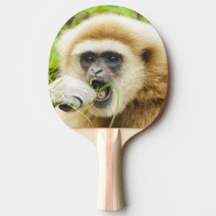 Funny Gibbon Foto Tafeltennisbatje