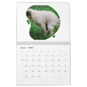 Funny Gift-Crapping Dog Kalender (Mar 2026)