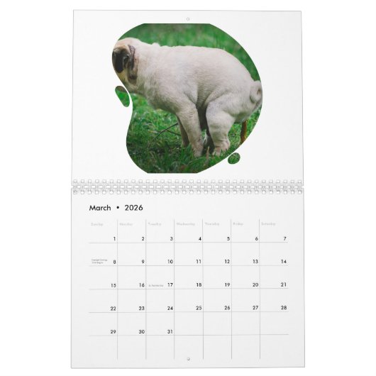 Funny Gift-Crapping Dog Kalender (Mar 2026)