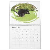 Funny Gift-Crapping Dog Kalender (Feb 2026)