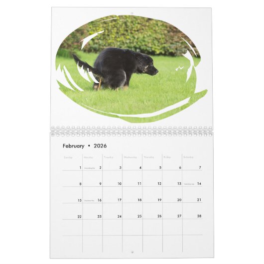 Funny Gift-Crapping Dog Kalender (Feb 2026)