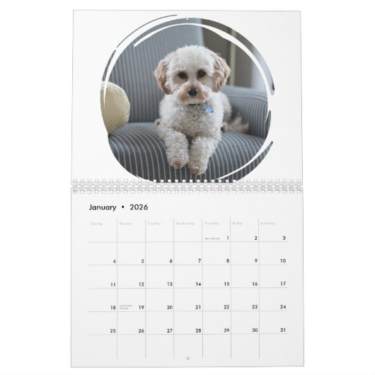 Funny Gift-Crapping Dog Kalender (Jan 2026)