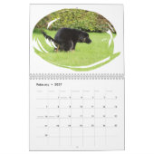Funny Gift-Crapping Dog Kalender (Feb 2027)