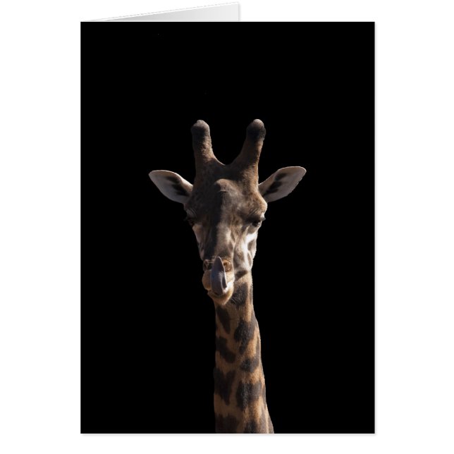 Funny Giraffe (Voorkant)