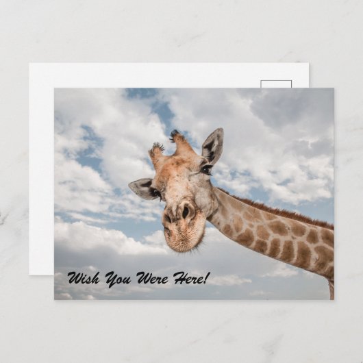 Funny Giraffe Briefkaart (Voorkant / Achterkant)
