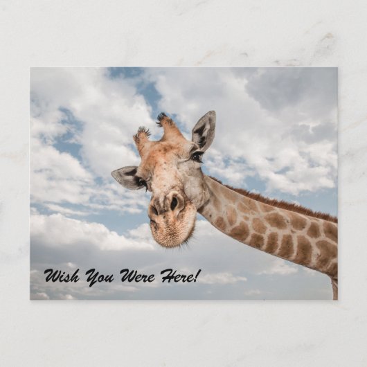 Funny Giraffe Briefkaart (Voorkant)