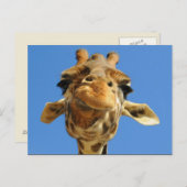 Funny Giraffe Briefkaart (Voorkant / Achterkant)