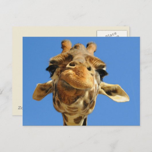 Funny Giraffe Briefkaart (Voorkant / Achterkant)