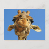 Funny Giraffe Briefkaart (Voorkant)