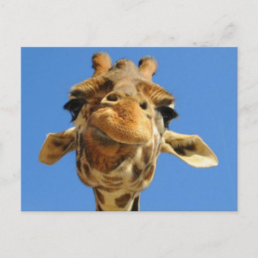 Funny Giraffe Briefkaart (Voorkant)
