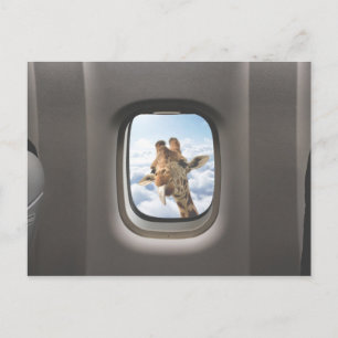 Funny Giraffe Briefkaart